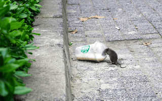 A bad taste to this coffee?