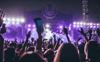 Audience at a major international music concert, showing the growing importance of live performances in today’s music industry.