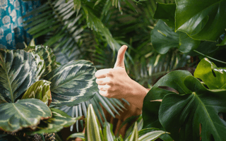 Top 10 unusual KPIs: strange ways businesses measure success