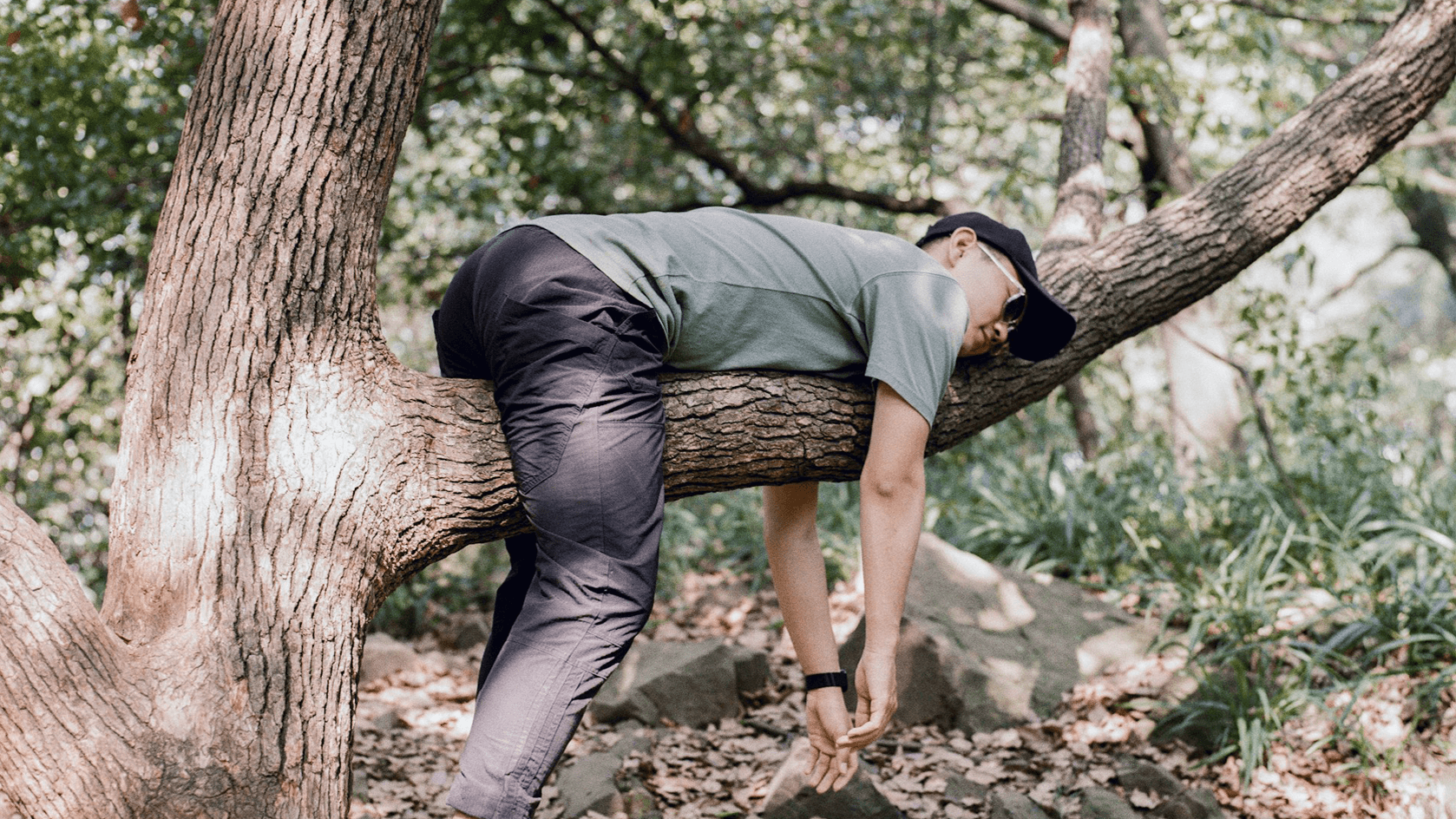 Laziness and intelligence.