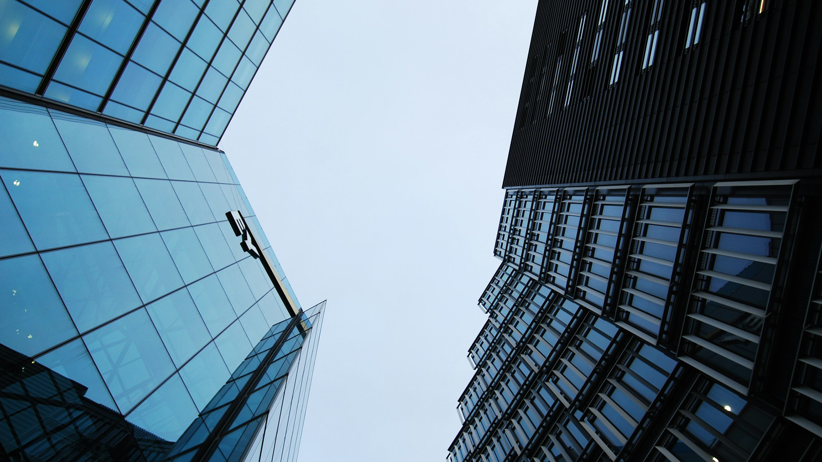 EY’s Hybrid Work Insights