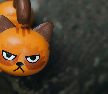 Don't get angry over anger management