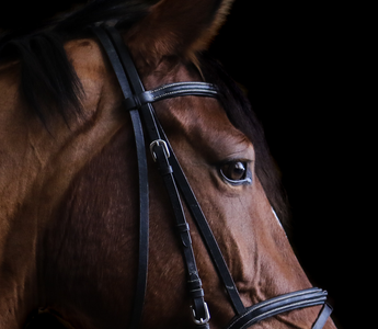 Deloitte executive gets drunk and...