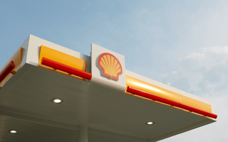 When auditors overstay their welcome...