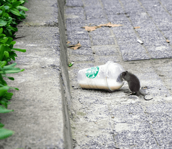 A bad taste to this coffee?