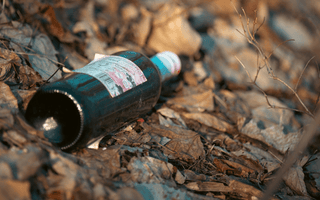 Nothing to whine about...