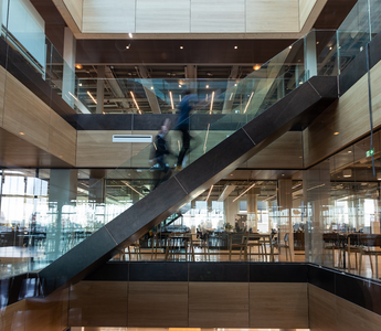 Is ACCA a Chartered Accountant? Understanding the distinctions