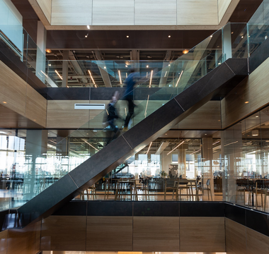 Is ACCA a Chartered Accountant? Understanding the distinctions