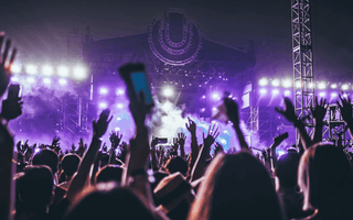 Audience at a major international music concert, showing the growing importance of live performances in today’s music industry.