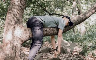 Laziness and intelligence.