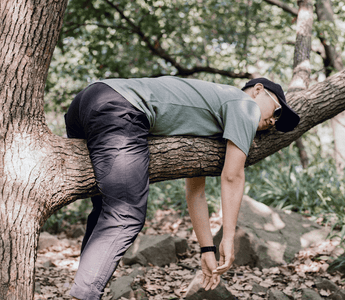 Laziness and intelligence.