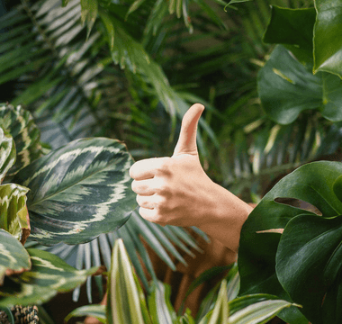 Top 10 unusual KPIs: strange ways businesses measure success