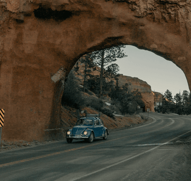 Volkswagen sells more sausages than cars